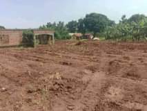 A picture of BRAND NEW SITE OPEN IN MATUGGA SANGA NAKUKUBA TOWN Suitable