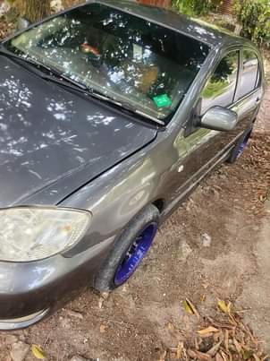 toyota altis