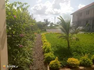 A picture of Nyumba