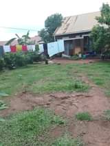 houses kira