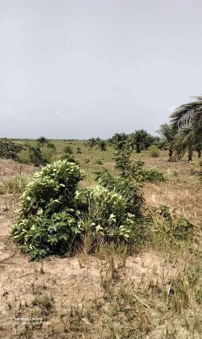 GHANA R.