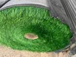A picture of Grass carpet