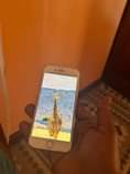 A picture of iphone 8plain Gb 64 Fingerprint 98 Price 210k Call 0744838956