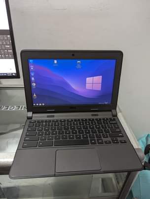 A picture of Dell miduan size