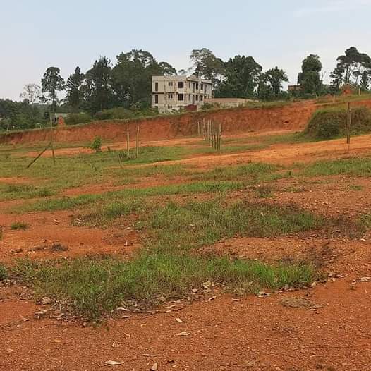 A picture of With the land title