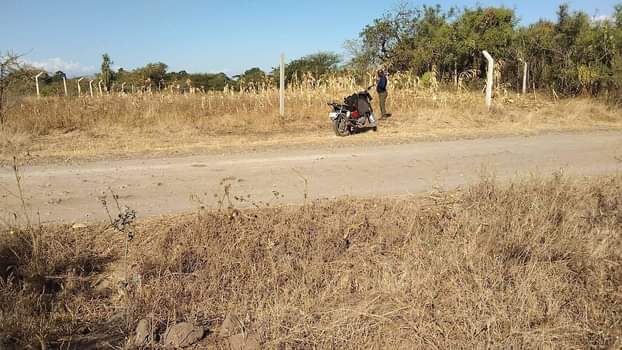 A picture of SHAMBA