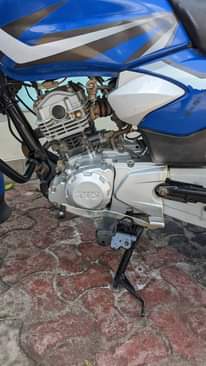 A picture of TVS CC 125