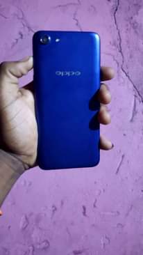 A picture of Vivo