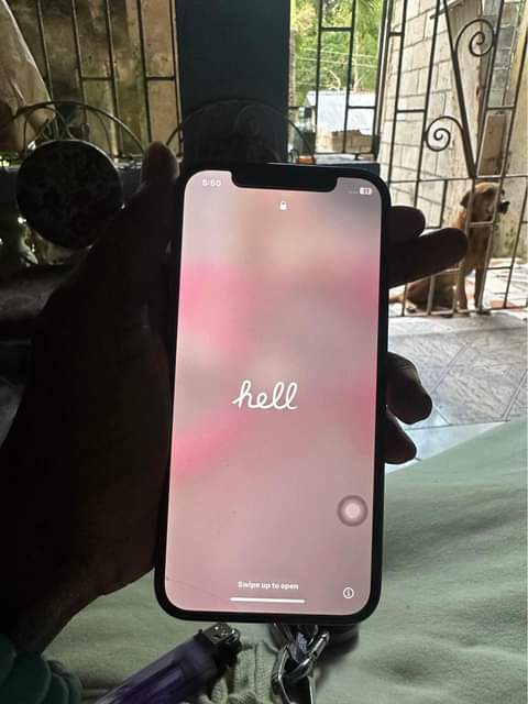 iphone 12pro