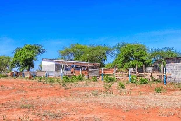 makutano plots