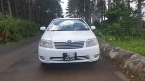 used toyota corolla