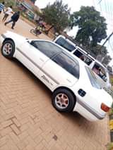 A picture of PREMIO ON SALE 0754863448