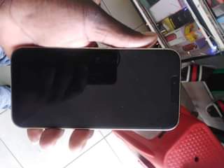 iphone 13pro