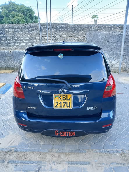 A picture of 2006 Toyota Spacio hatchback