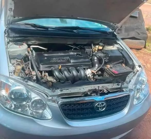 A picture of Corolla 2004