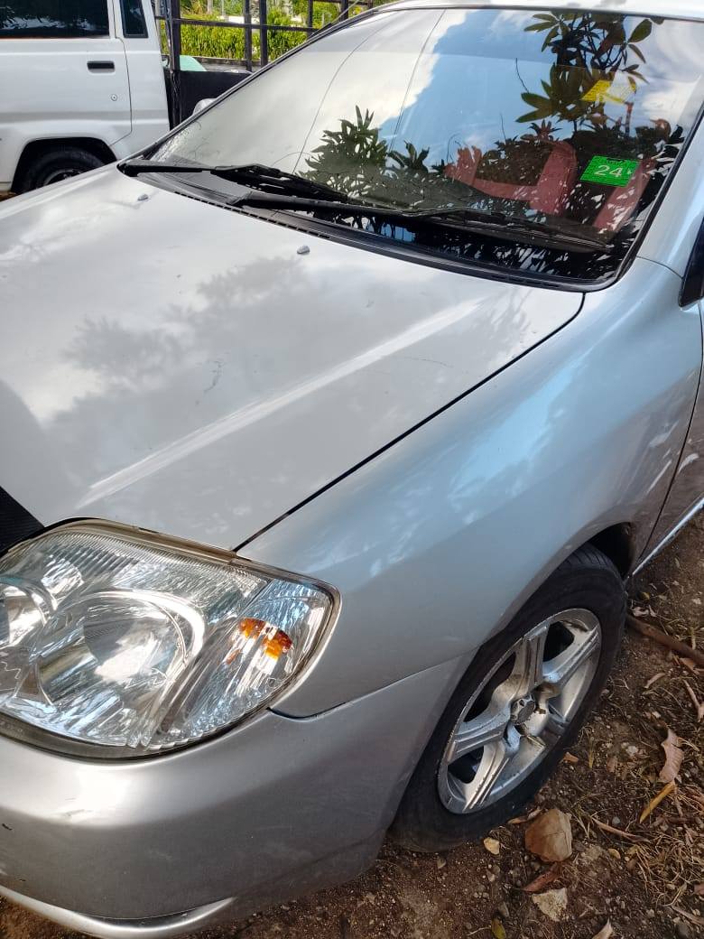 toyota kingfish