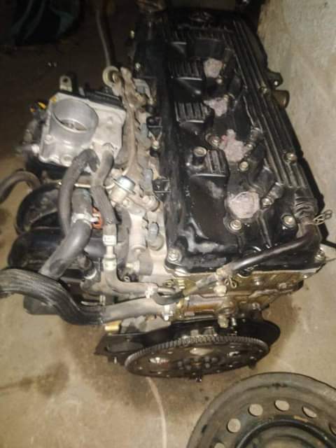 coils