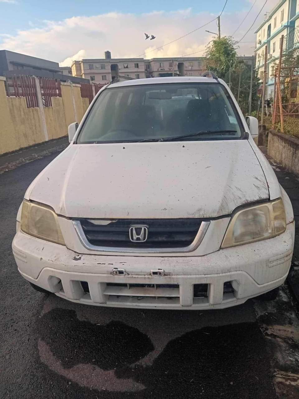 honda