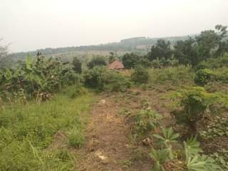 A picture of m