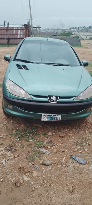 A picture of Peugeot 206 Manual