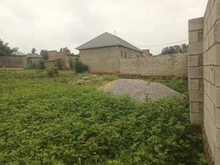 A picture of  40m Plot size 100by50ft with ready land title On