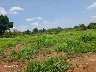 A picture of PLOTS FOR SALE