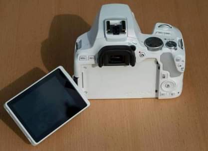 A picture of Canon EOS 250D
