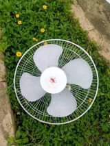 A picture of NAUZ VITU USED 0786494436