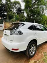 A picture of Harrier kawuundo