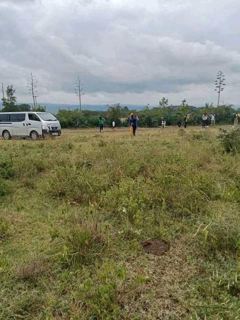50 100 plots