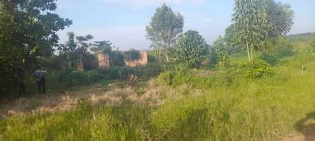 A picture of Plot for sell size 40 205ft at 20m only wakiso