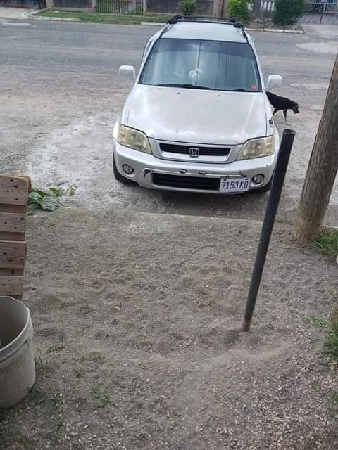 cars_under_700k