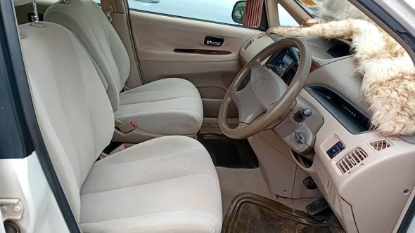 A picture of Toyota nadia