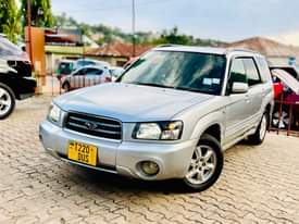 A picture of Subaru forester