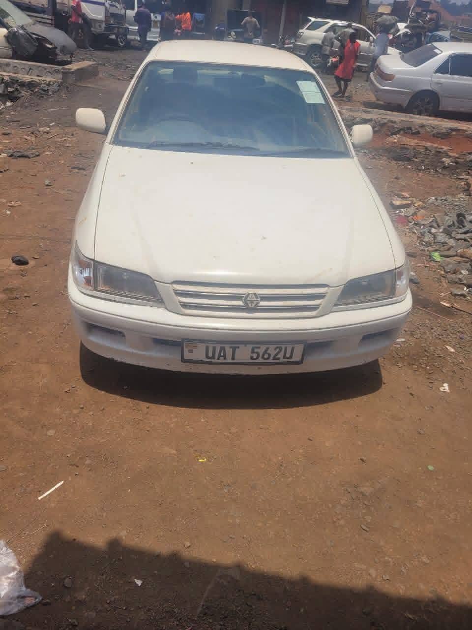 A picture of Vitz