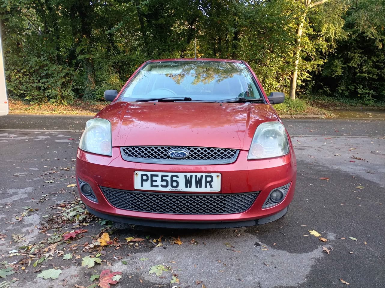cars