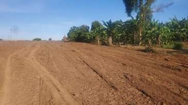 A picture of New site Plots with land titles available for sale at