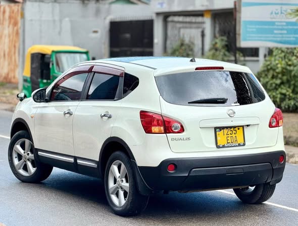 A picture of Nissan dualis