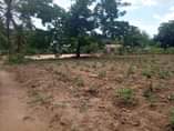 A picture of Plot for sale