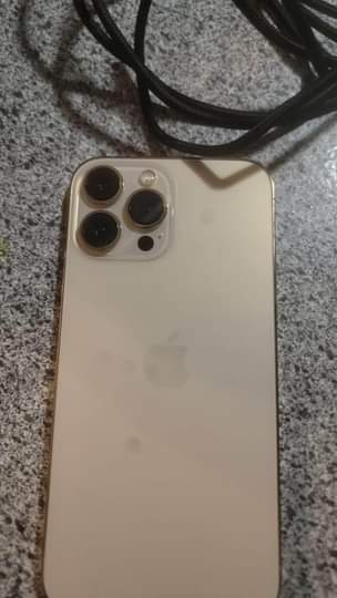 A picture of iPhone 13 Pro Max
