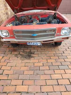 Classic,Muscle A.