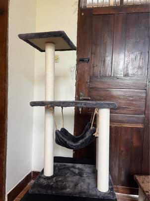 A picture of CAT TREES ALL SIZES