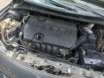 A picture of Very Sharp Toyota Corolla 2010 Model