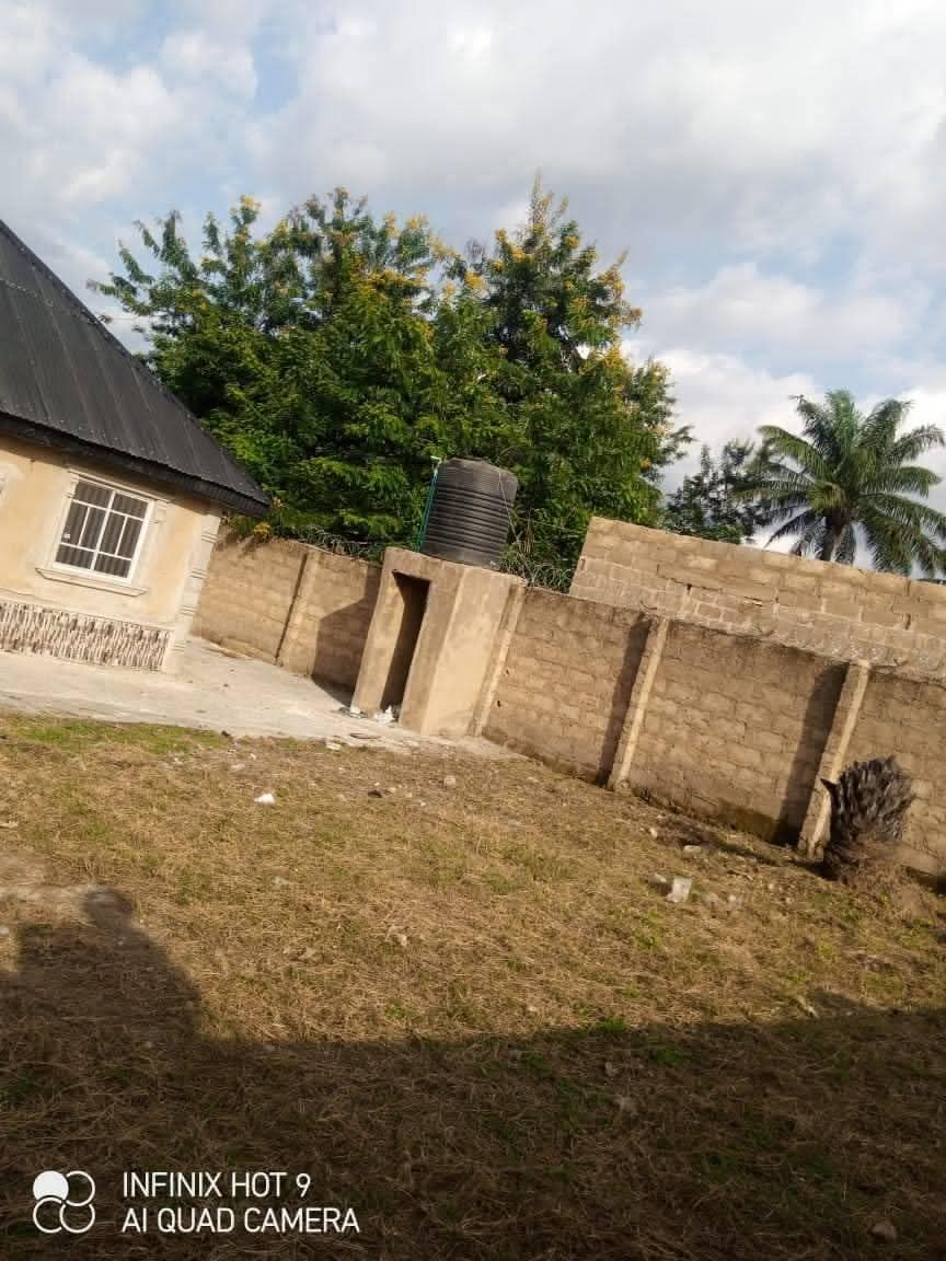 A picture of House