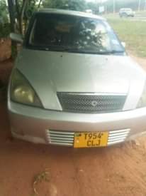 A picture of Gari