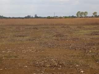 Property for Sale