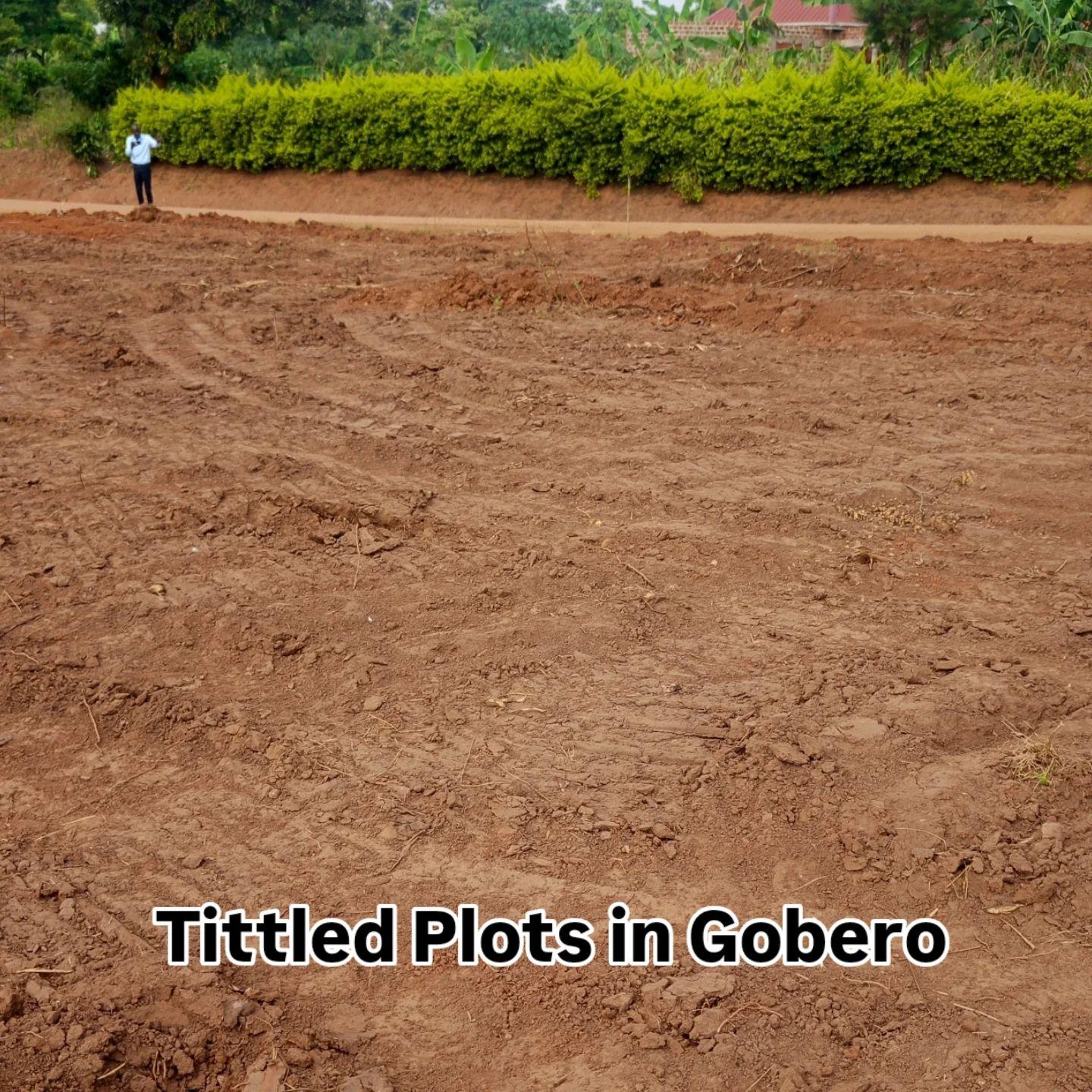 A picture of Tittled plots in Gobero