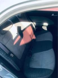 A picture of Kia pigas 2020