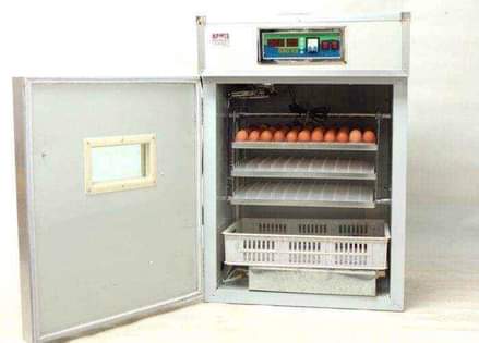 A picture of Incubators