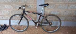 trek